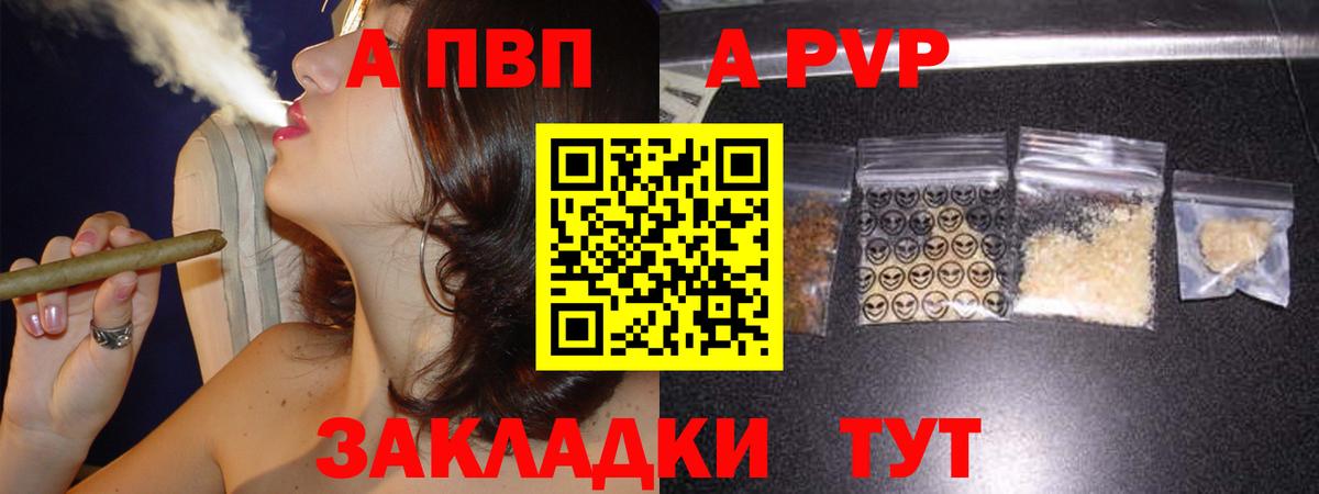 A PVP СК Новороссийск