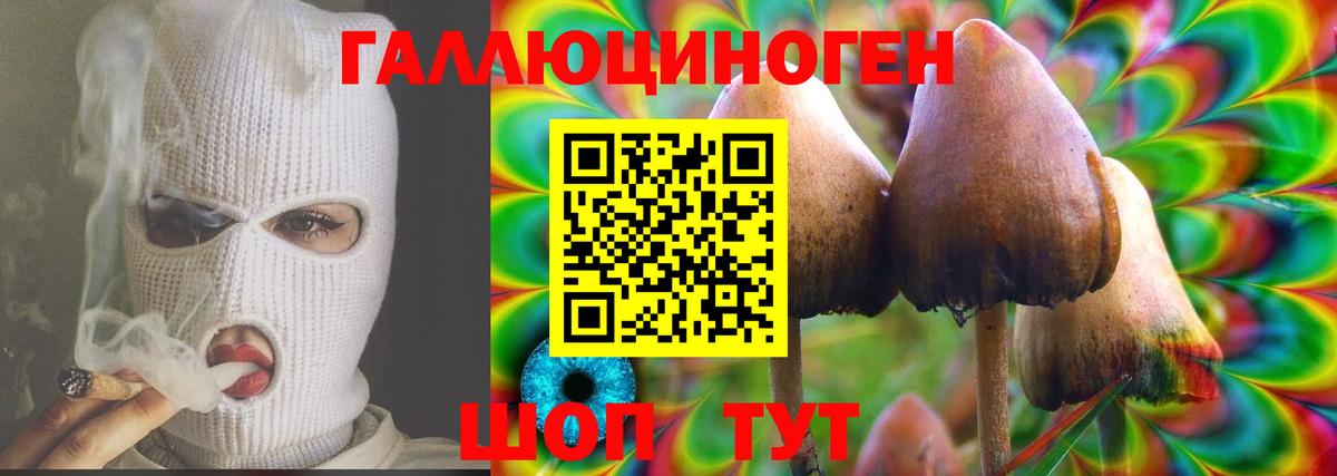 Новороссийск  Галлюциногенные грибы Psilocybe  Вход с VPN 